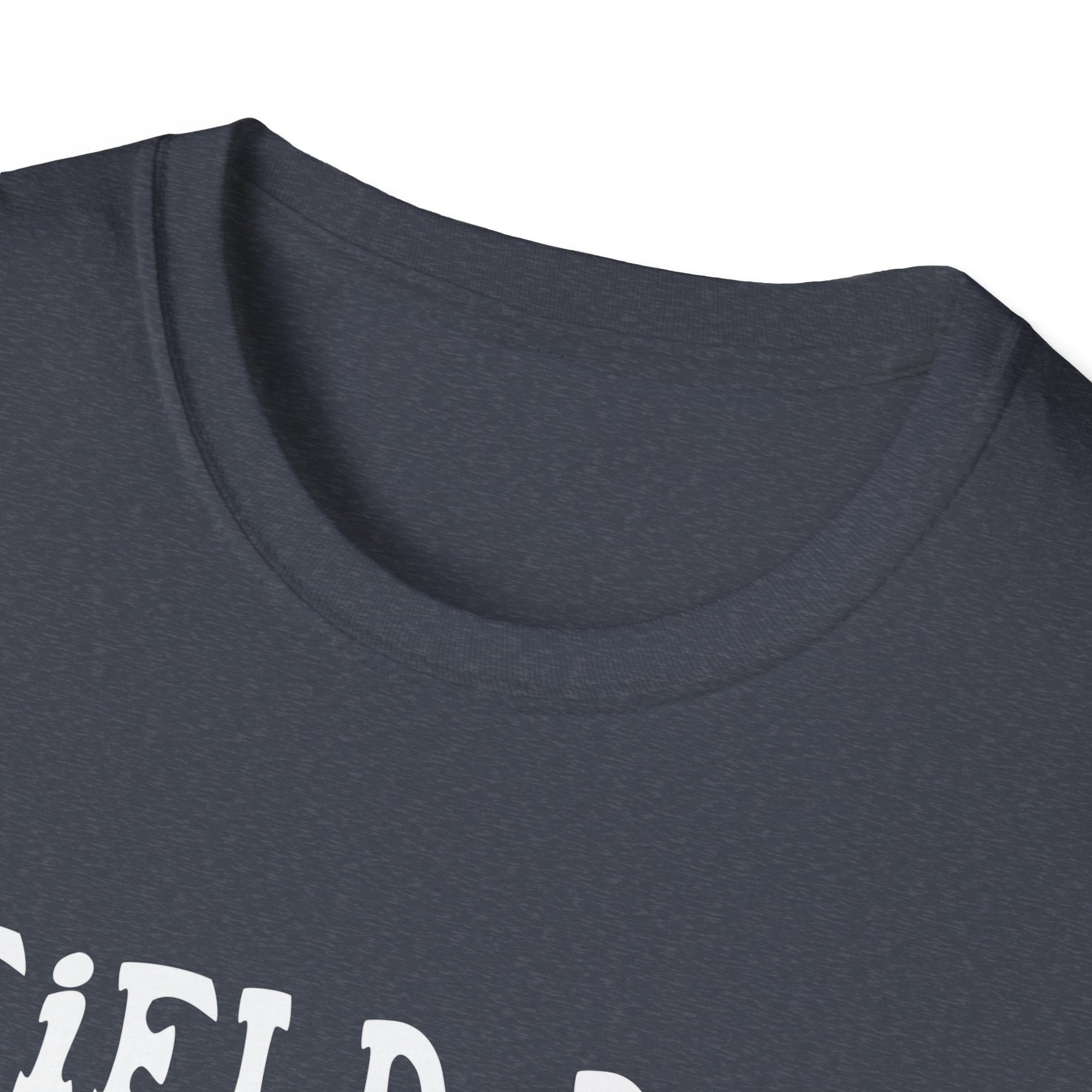 Field Day Vibes T-Shirt, Unisex Tee, Fun Summer Shirt, 2025 Field Day Gift, Casual Wear for Kids & Adults
