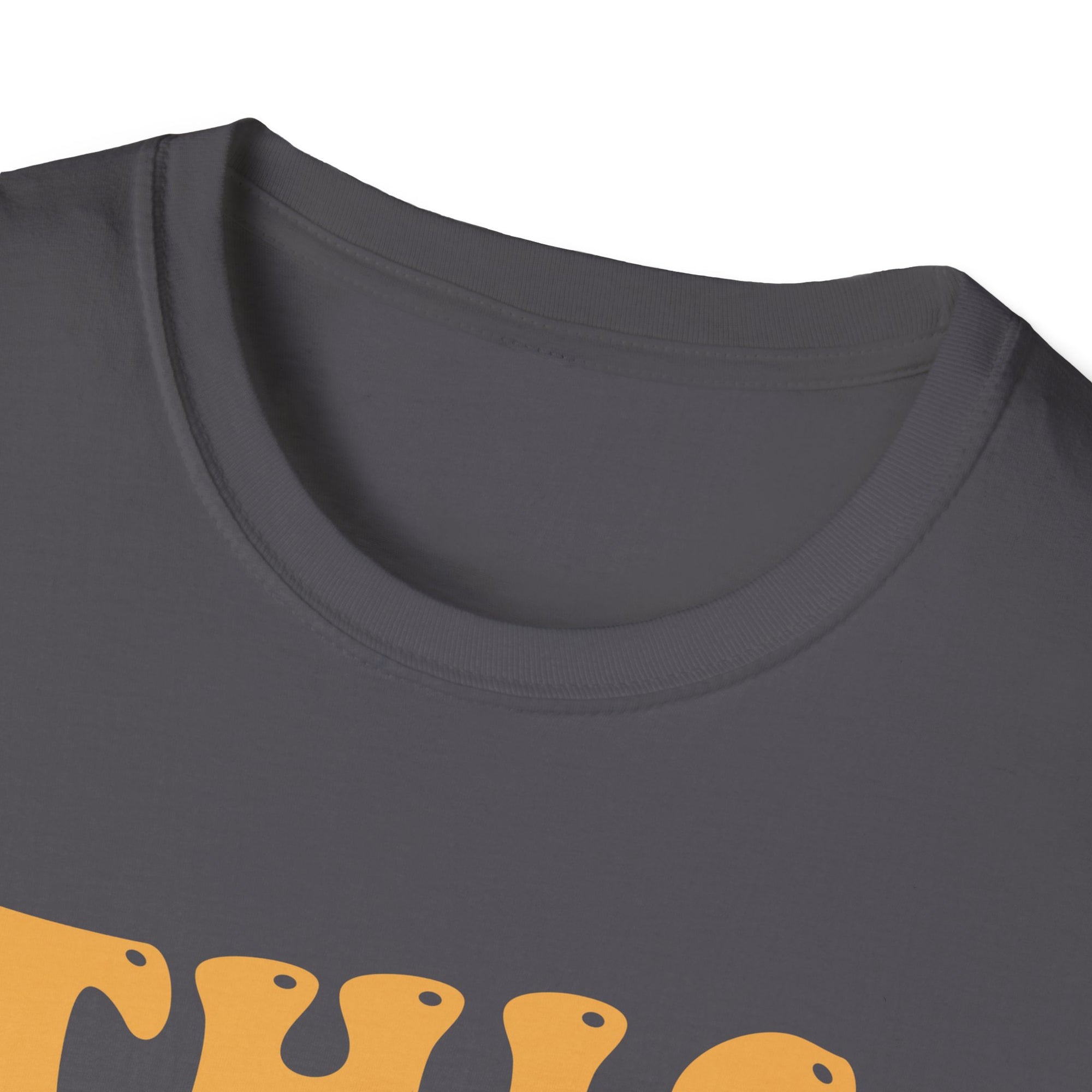 First Rodeo Unisex Softstyle T-Shirt - Fun Event Shirt, Cowboy Theme Tee, Gift for Rodeo Fans, Casual Wear, Graphic Tee