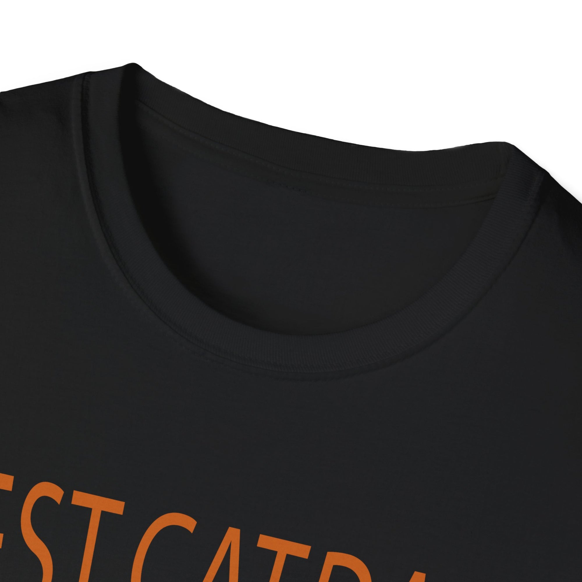Best Cat Dad Ever Unisex Softstyle T-Shirt, Cat Dad Tee, Pet Lover Gift, Father's Day Shirt, Cool Cat Apparel, Funny T-Shirt