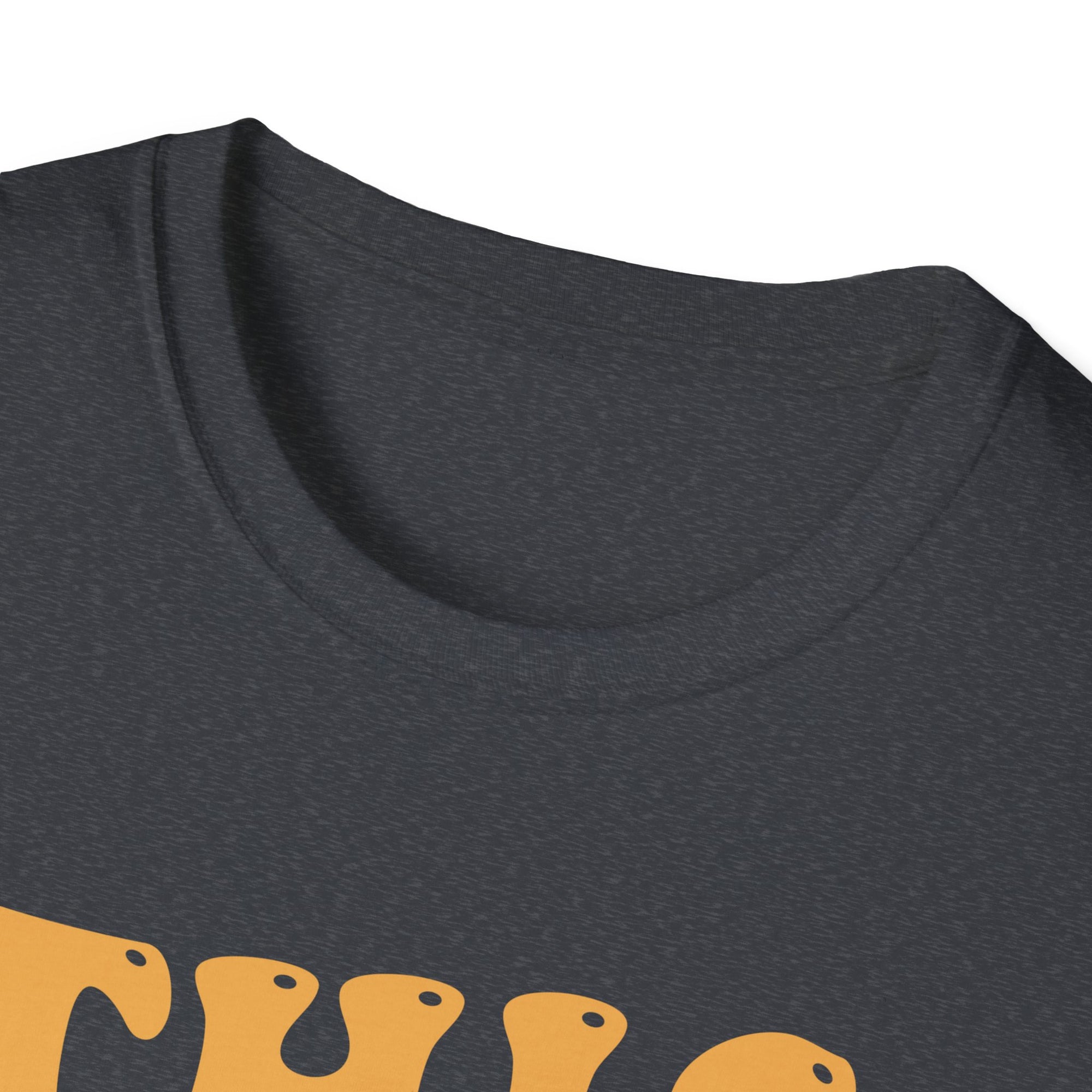 First Rodeo Unisex Softstyle T-Shirt - Fun Event Shirt, Cowboy Theme Tee, Gift for Rodeo Fans, Casual Wear, Graphic Tee