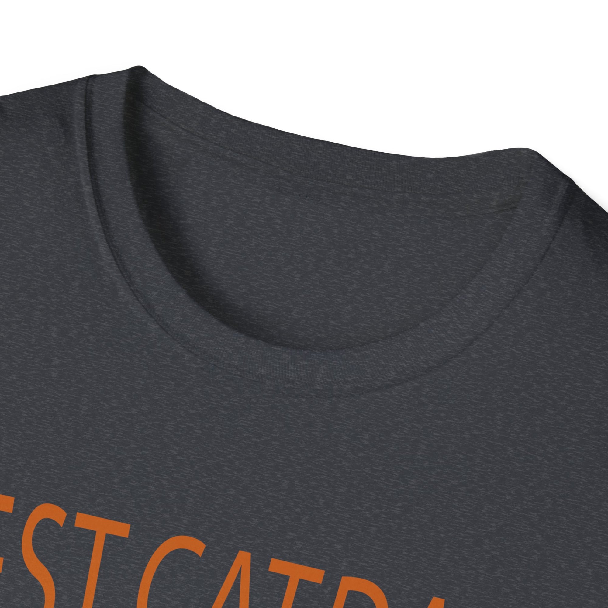 Best Cat Dad Ever Unisex Softstyle T-Shirt, Cat Dad Tee, Pet Lover Gift, Father's Day Shirt, Cool Cat Apparel, Funny T-Shirt