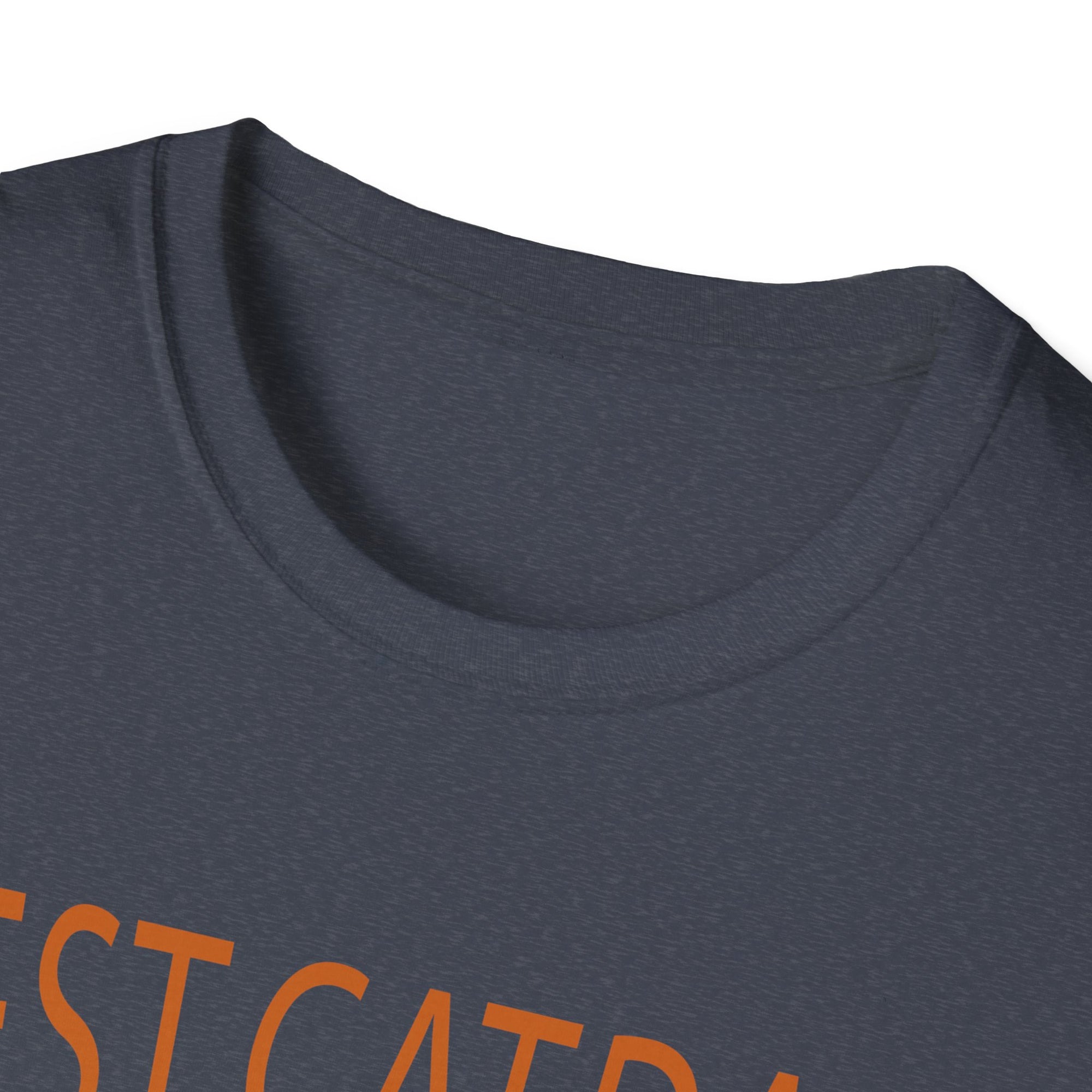 Best Cat Dad Ever Unisex Softstyle T-Shirt, Cat Dad Tee, Pet Lover Gift, Father's Day Shirt, Cool Cat Apparel, Funny T-Shirt