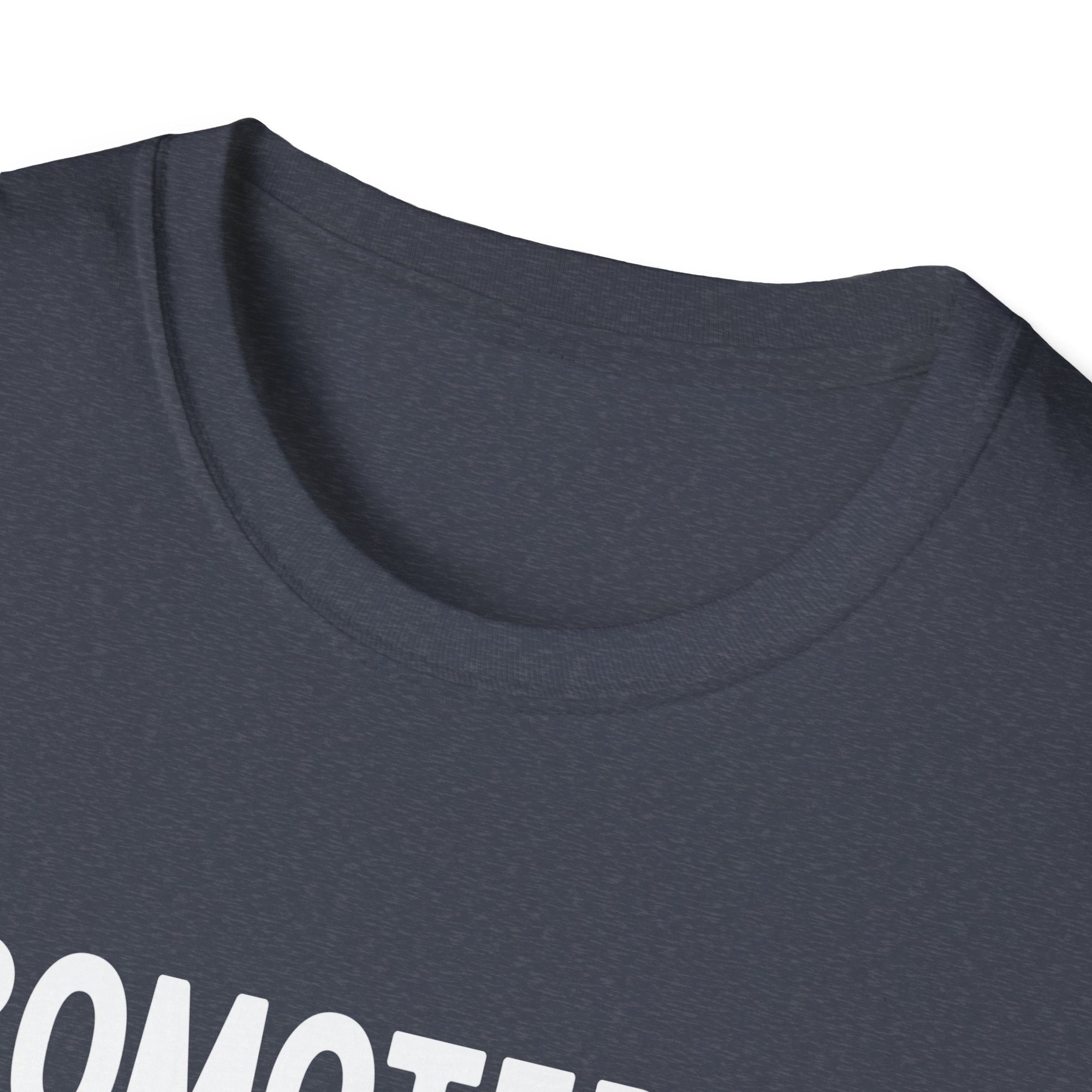 Big Brother Promotion T-Shirt, Cute Sibling Gift, Expecting Parents, Baby Announcement, Family Reunion Apparel