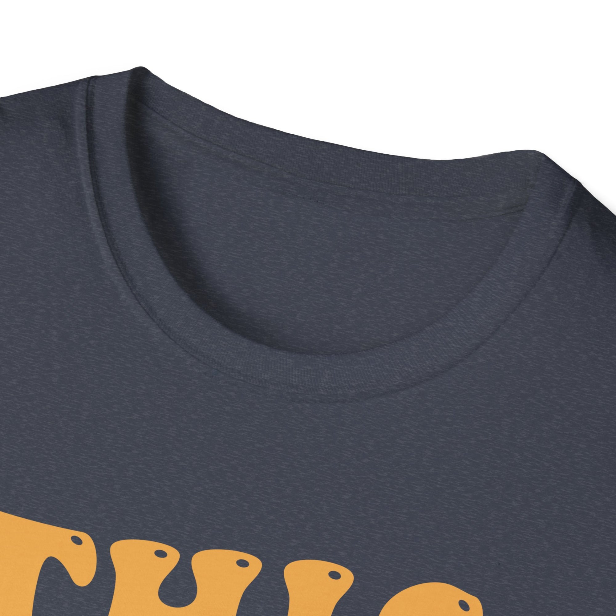First Rodeo Unisex Softstyle T-Shirt - Fun Event Shirt, Cowboy Theme Tee, Gift for Rodeo Fans, Casual Wear, Graphic Tee