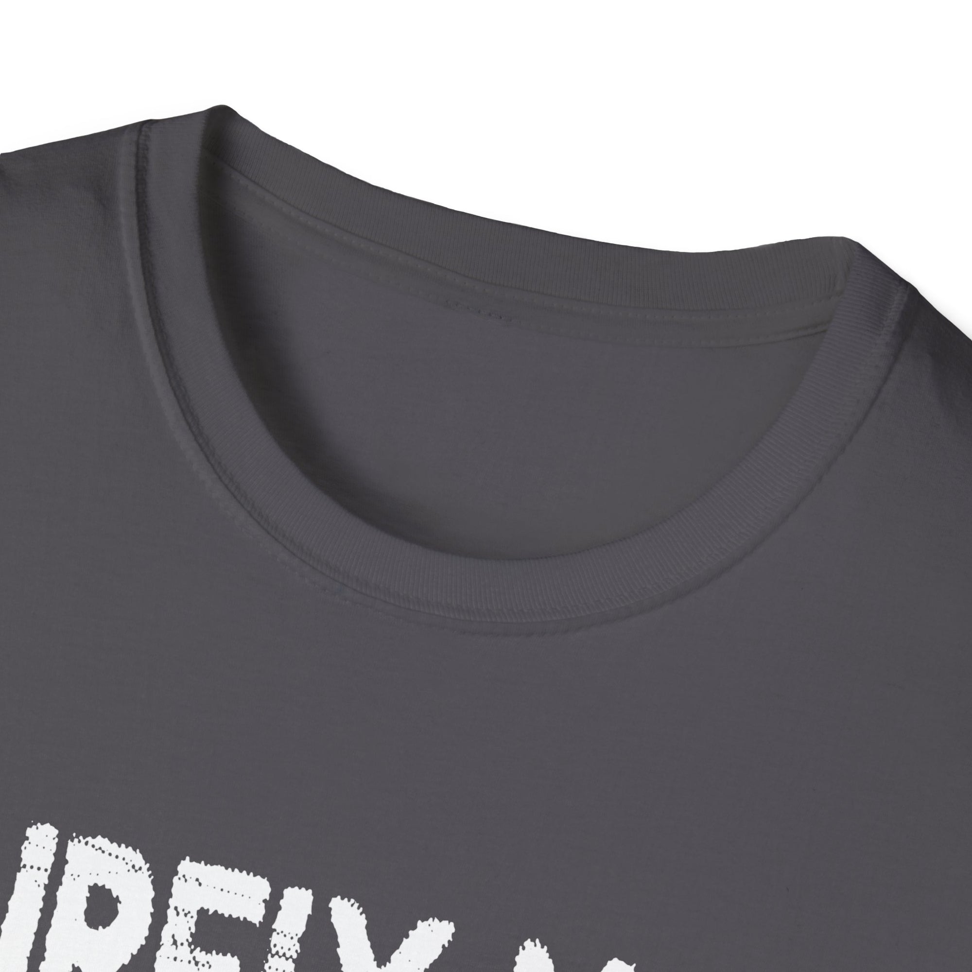 Funny Kung Fu T-Shirt for Movie Lovers, Unisex Graphic Tee, Gift for Martial Arts Fans, Quirky Top for Events, Casual Wear