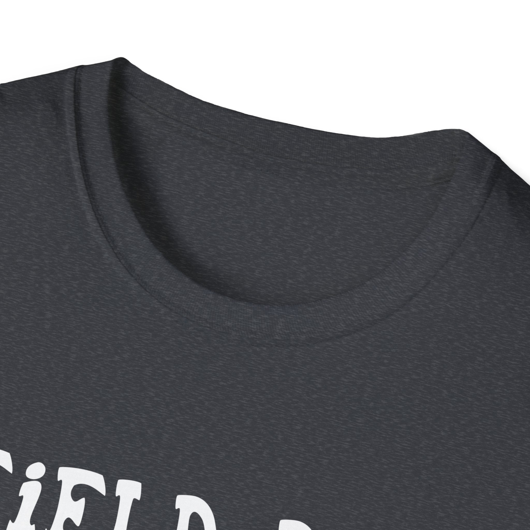 Field Day Vibes T-Shirt, Unisex Tee, Fun Summer Shirt, 2025 Field Day Gift, Casual Wear for Kids & Adults