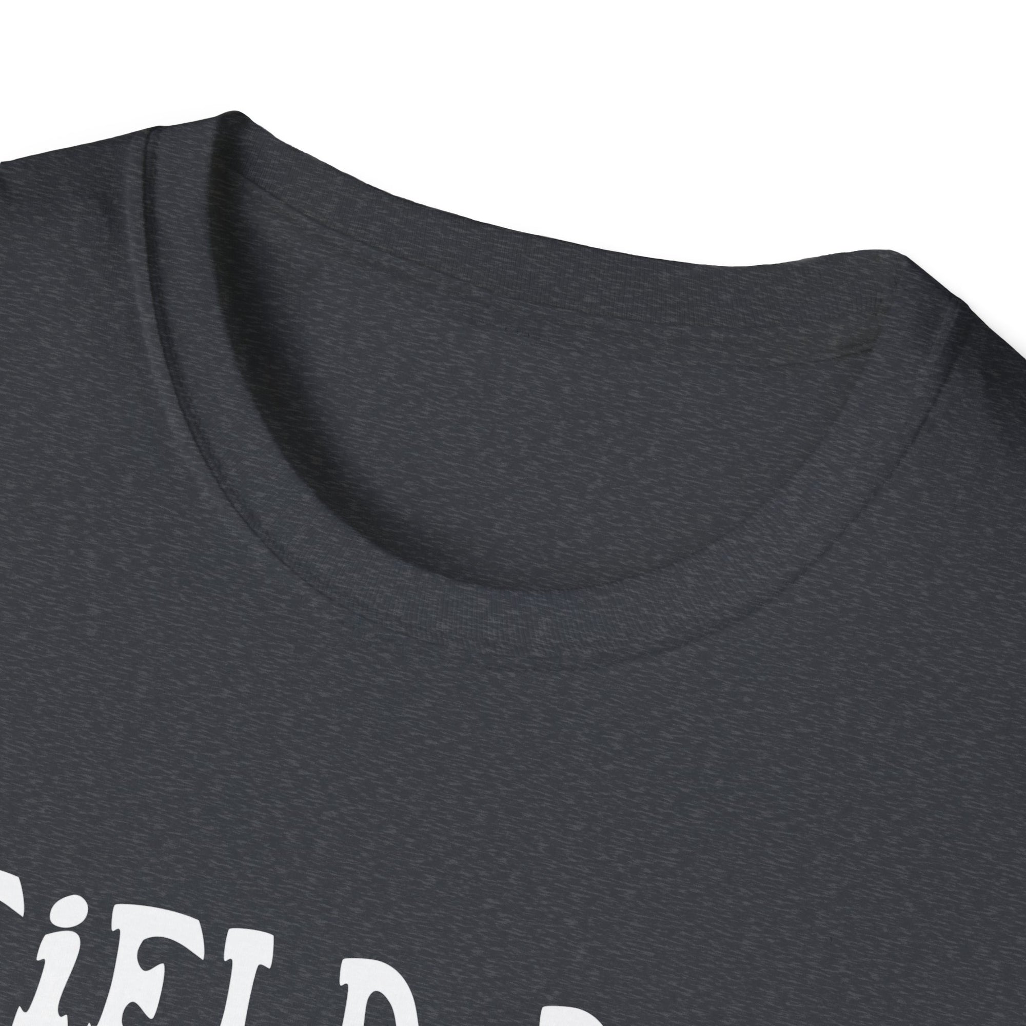 Field Day Vibes T-Shirt, Unisex Tee, Fun Summer Shirt, 2025 Field Day Gift, Casual Wear for Kids & Adults