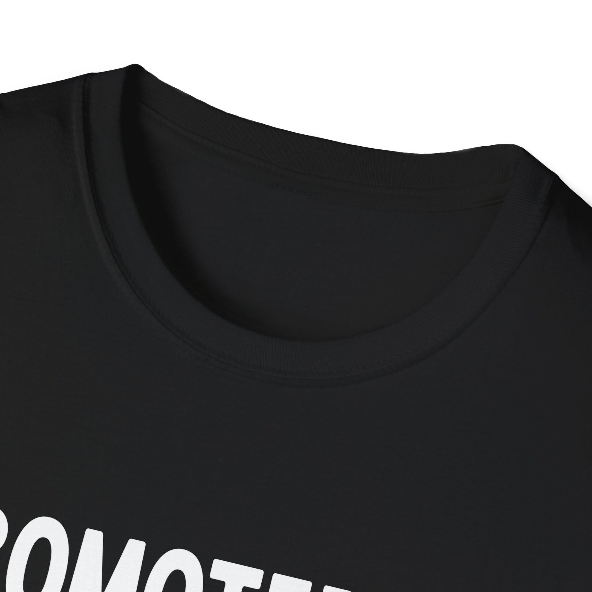 Big Brother Promotion T-Shirt, Cute Sibling Gift, Expecting Parents, Baby Announcement, Family Reunion Apparel
