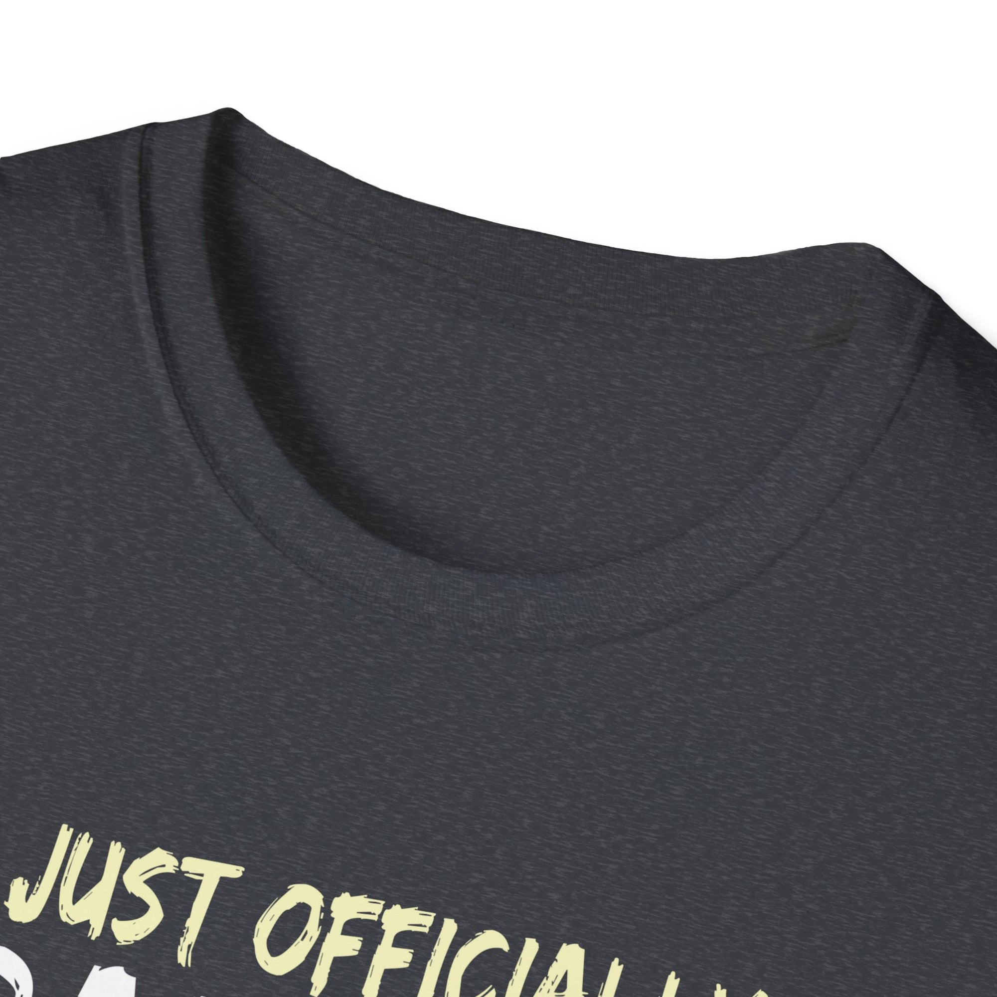 Kindergarten Graduation T-Shirt - I Just Officially Graduated 2025, Unisex Tee, Kids Celebration Shirt, Early Education Apparel, [...]