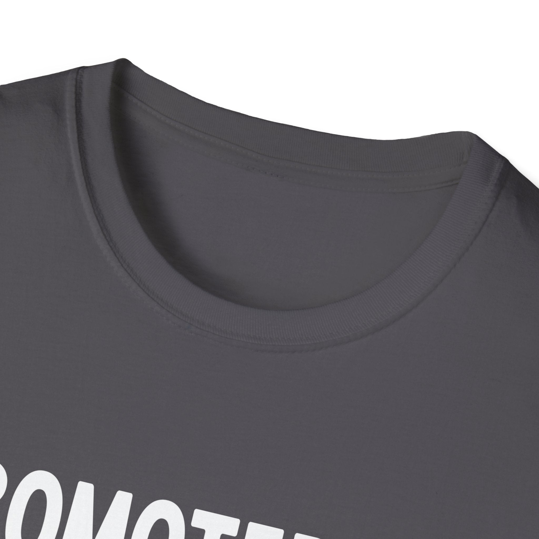 Big Brother Promotion T-Shirt, Cute Sibling Gift, Expecting Parents, Baby Announcement, Family Reunion Apparel