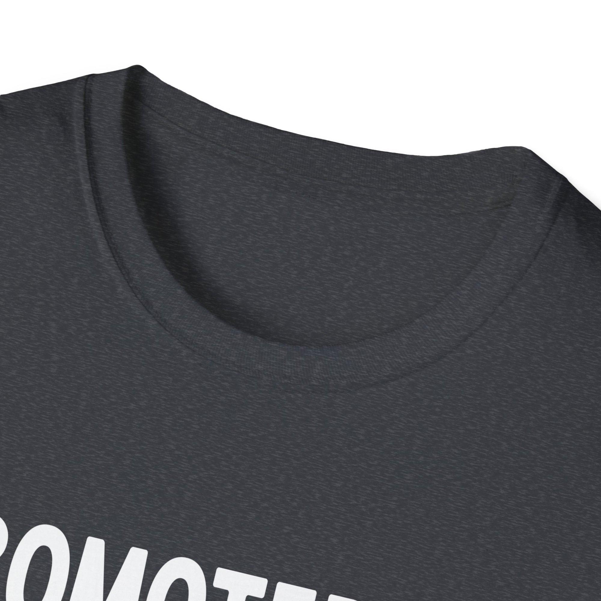 Big Brother Promotion T-Shirt, Cute Sibling Gift, Expecting Parents, Baby Announcement, Family Reunion Apparel
